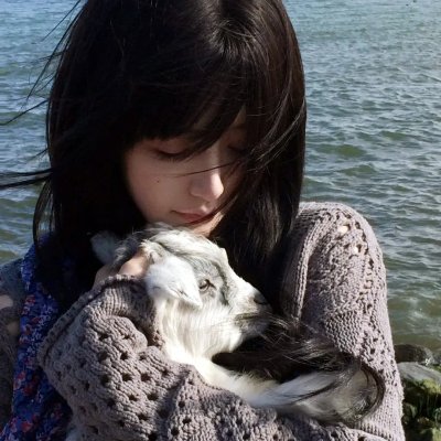 老炮敢死队